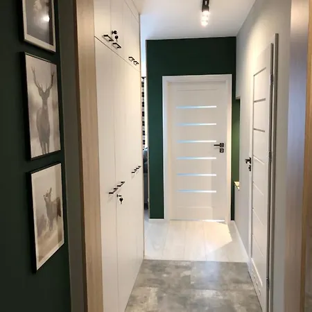 Apartament Przy Zajęczniku Świeradów-Zdrój Zewnętrze zdjęcie