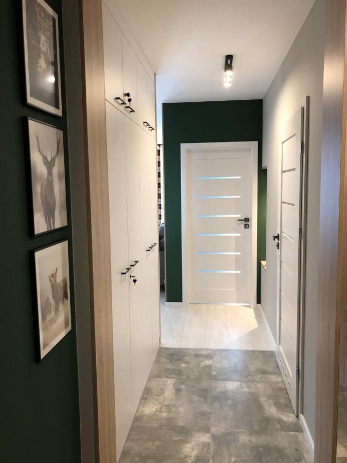 Apartment Przy Zajeczniku *