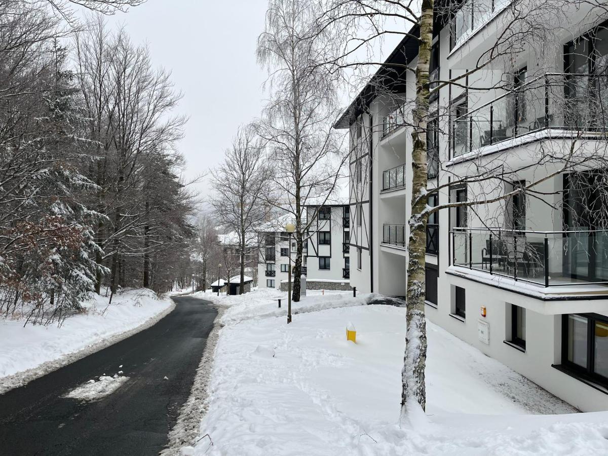 Przy Zajeczniku Apartment *